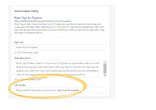 Shopify SEO URL example