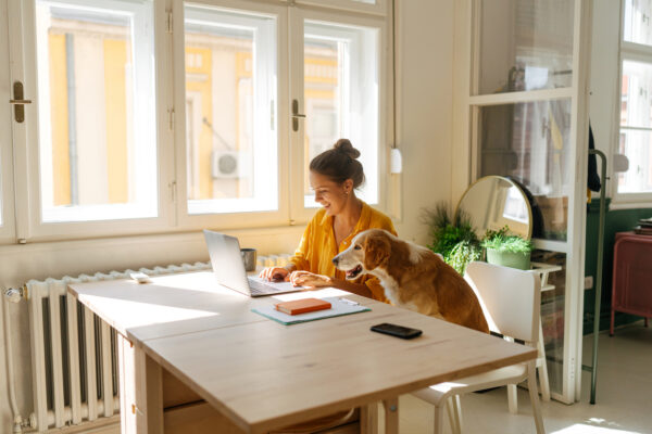 woman researching website accessibility